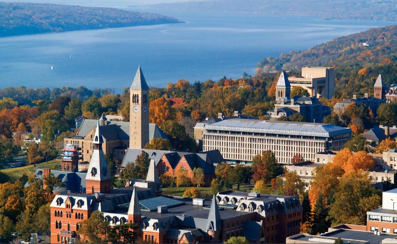 Image- Cornell university 800px