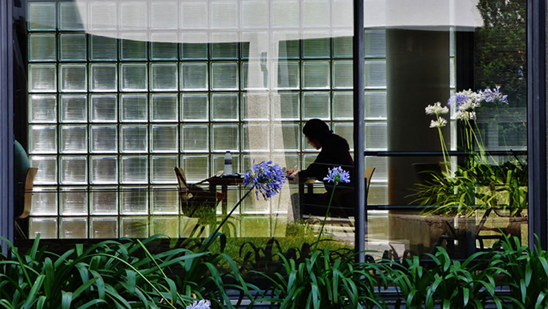 Image - silhouette of a girl reading 800px x 451px