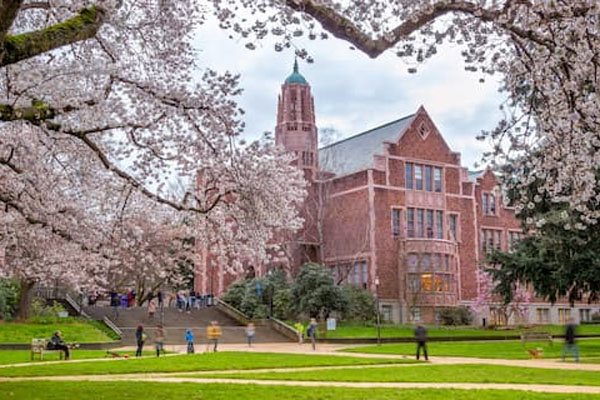 Picture of Sydney Harbour, Australia